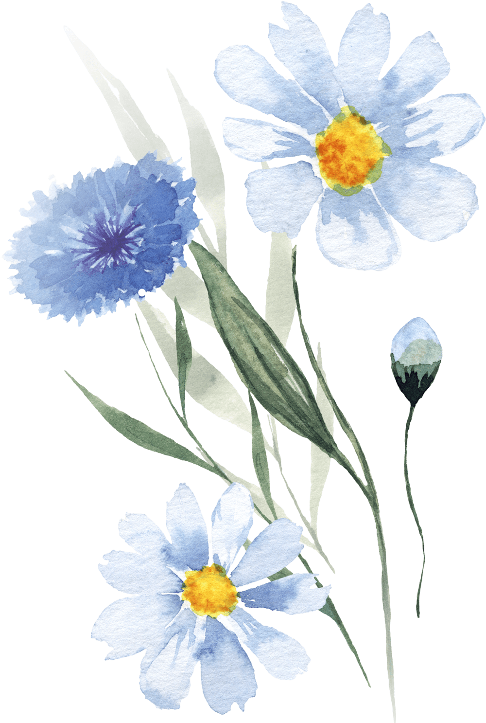Blue Flowers